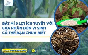 Bật mí 5 lợi ích tuyệt của phân bón vi sinh có thể bạn chưa biết