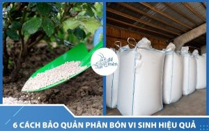 6 cách bảo quản phân bón vi sinh không phải ai cũng biết