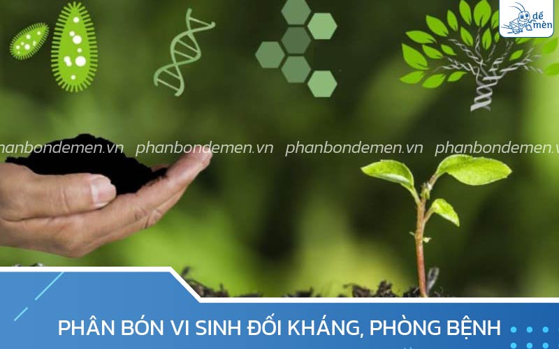 Phân bón vi sinh đối kháng, phòng bệnh