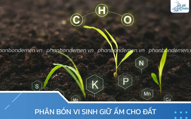 Phân bón vi sinh giữ ẩm cho đất