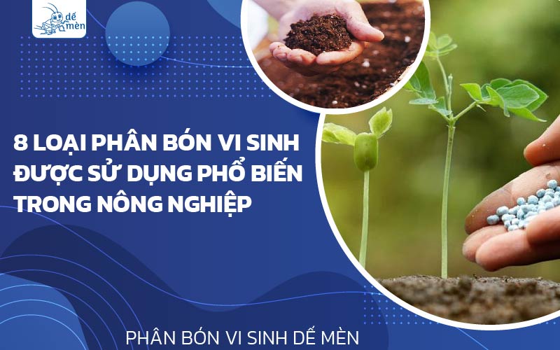 8 loại phân bón vi sinh được sử dụng phổ biến trong nông nghiệp