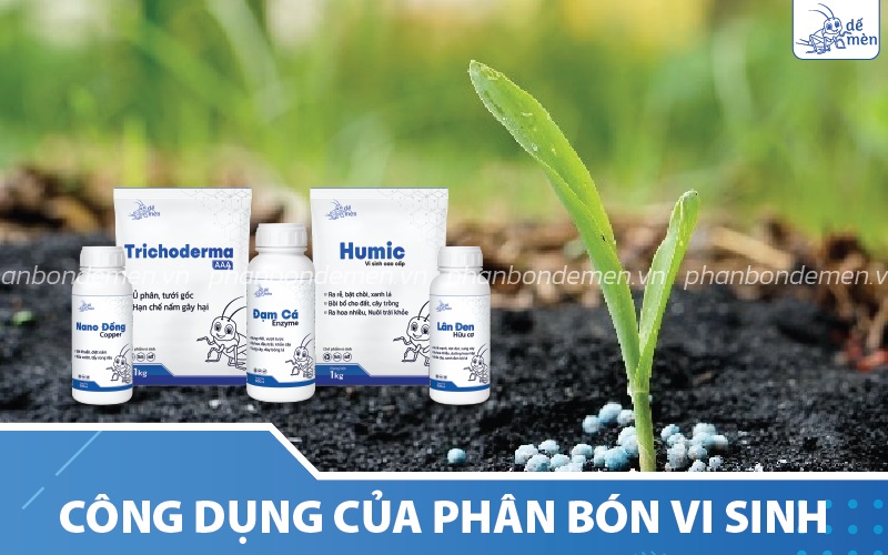 Phân bón vi sinh có công dụng với đất cũng như cây trồng