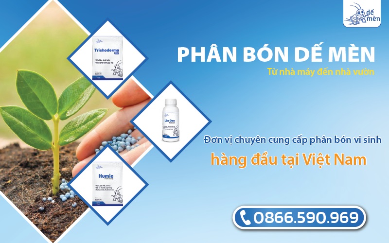 Công ty Dế Mèn - địa chỉ cung cấp phân bón vi sinh uy tín