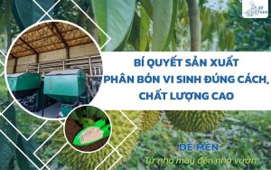 Bí quyết sản xuất phân bón vi sinh đúng cách, đạt chất lượng cao