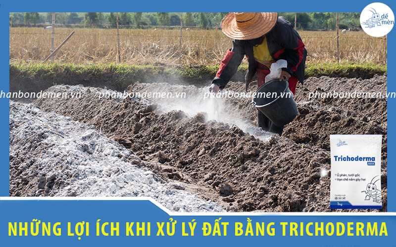 loi-ich-khi-xu-ly-dat-bang-che-pham-trichoderma