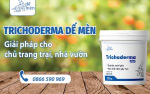 nam-trichoderma-la-gi