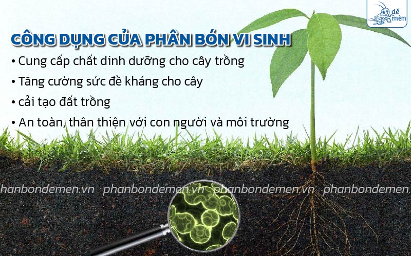 Công dụng của phân bón vi sinh