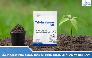 Đặc điểm của phân bón vi sinh phân giải chất hữu cơ cần biết