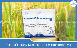 bi-quyet-chon-mua-che-pham-trichoderma-0