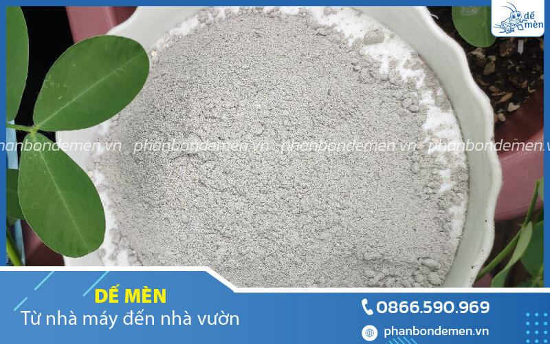 bi-quyet-chon-mua-che-pham-trichoderma-2