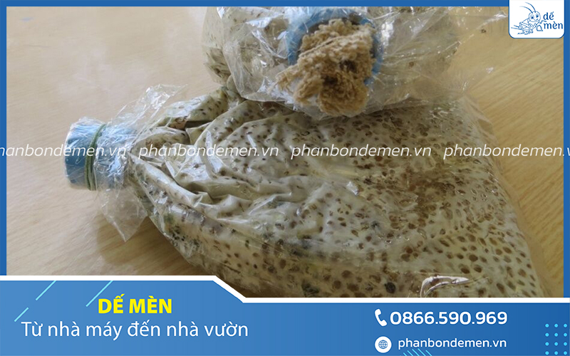 quy-trinh-nuoi-cay-nam-trichoderma-4