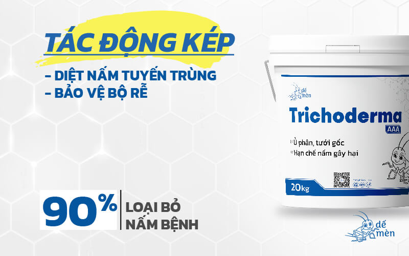 trichoderma-de-men-la-che-pham-cao-cap-2