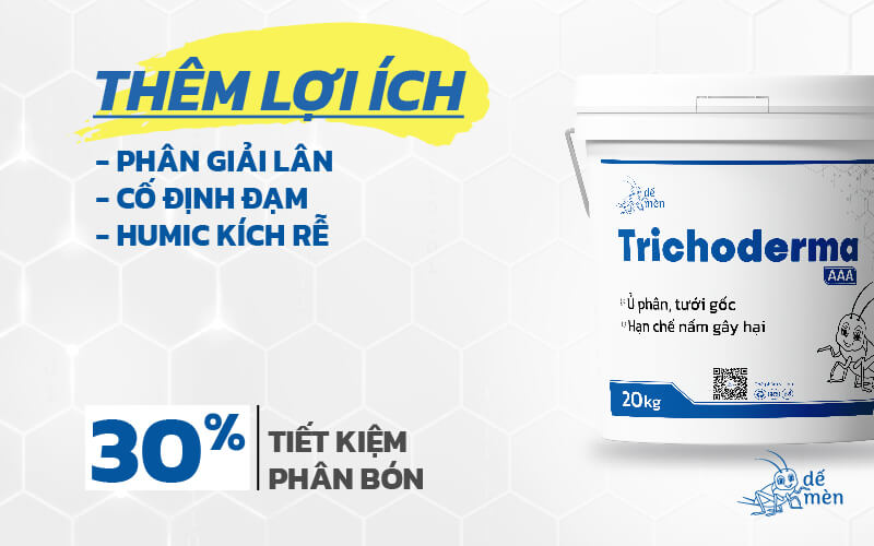 trichoderma-de-men-la-che-pham-cao-cap-3