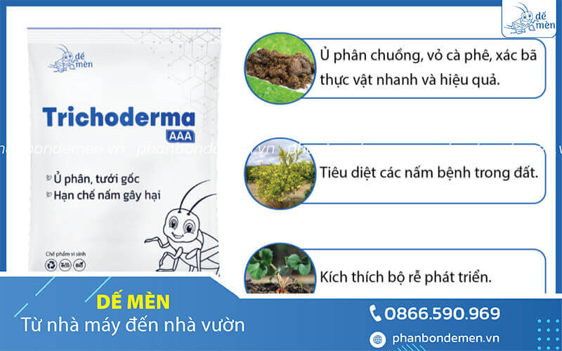 trichoderma-de-men-la-che-pham-cao-cap-4