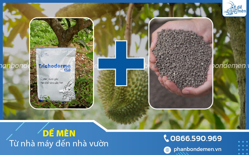 trichoderma-de-men-la-che-pham-cao-cap-5