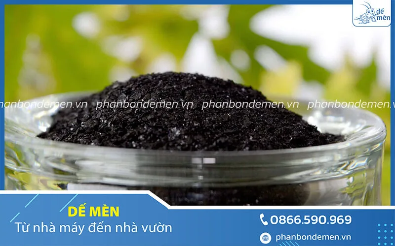 Axit humic là gì?