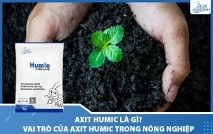 Axit humic là gì? Tìm hiểu vai trò của axit humic trong nông nghiệp