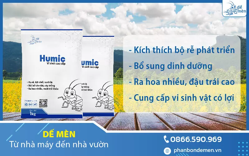 de-men-cung-cap-phan-humic-chinh-hang-4