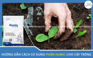 huong-dan-cach-su-dung-phan-humic-cho-cay-trong