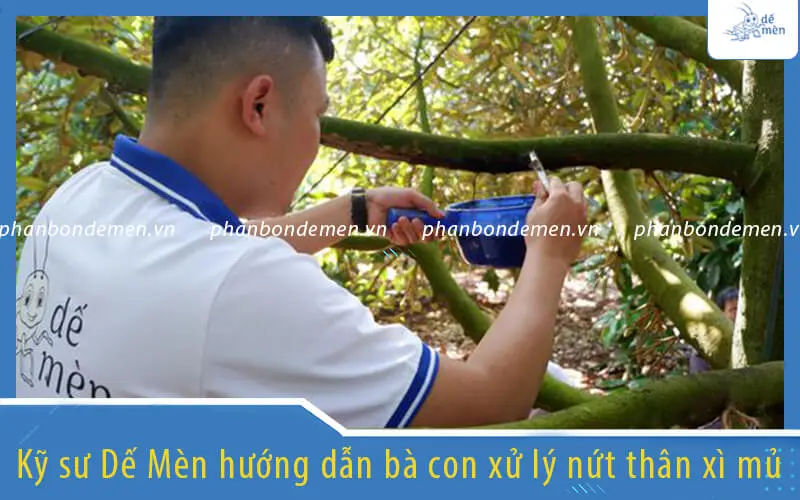 ky-su-de-men-huong-dan-ba-con-tri-nut-than-xi-mu