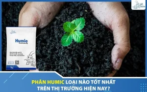 phan-humic-loai-nao-tot-nhat-tren-thi-truong