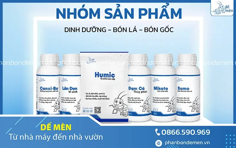 vai-tro-cua-humic-de-men-voi-cay-thanh-long-4